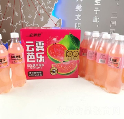 一起嘿吧云霧芭樂氣泡水480mlX8瓶