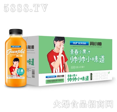 三九飲品芒果益生菌復(fù)合果汁風(fēng)味飲料410mlx15瓶