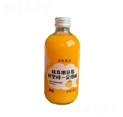 盈太果園復(fù)合乳酸菌甜橙味果汁飲品330ml