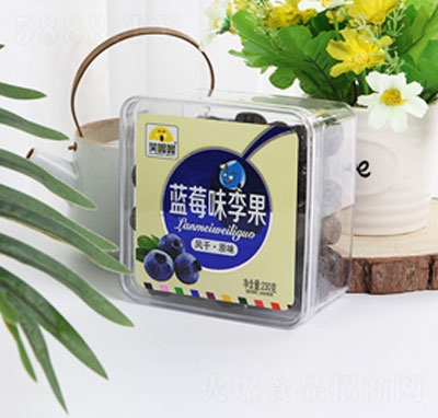 Ц���{ݮζ���230g