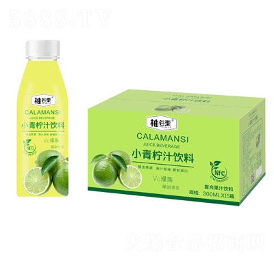 �ֹ���С����֭��ϾW(w��ng)�t��֭�ļ����