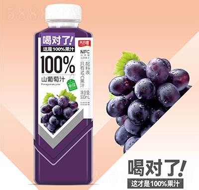 天合露100%山葡萄汁果汁飲料500ml