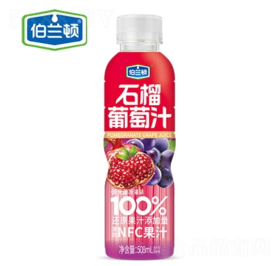 ���m�Dʯ������֭���508ml