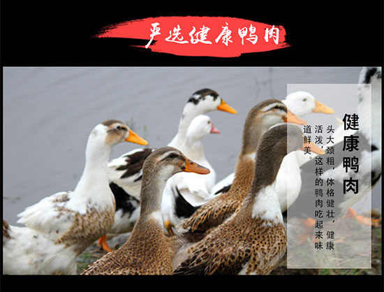 多旺手撕肉干 多旺手撕肉干